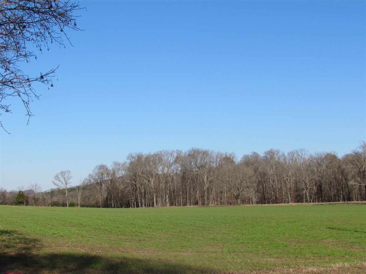 30 Bullington Road Southwest Cleveland, TN 37311 - Photo 1 of 22 Gallery Image 1