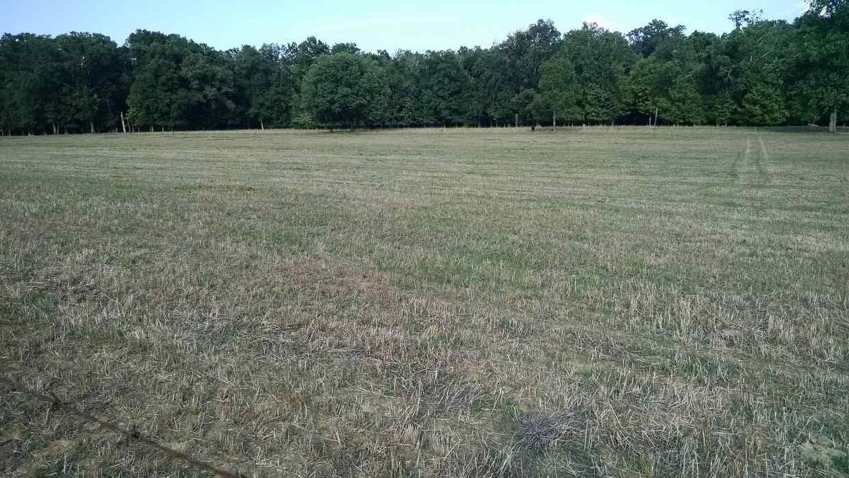 30 Bullington Road Southwest Cleveland, TN 37311 - Photo 14 of 22 Gallery Image 14