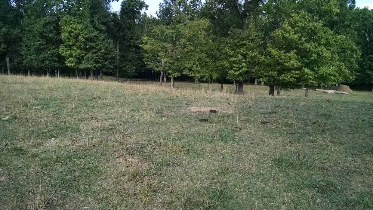 30 Bullington Road Southwest Cleveland, TN 37311 - Photo 16 of 22 Gallery Image 16