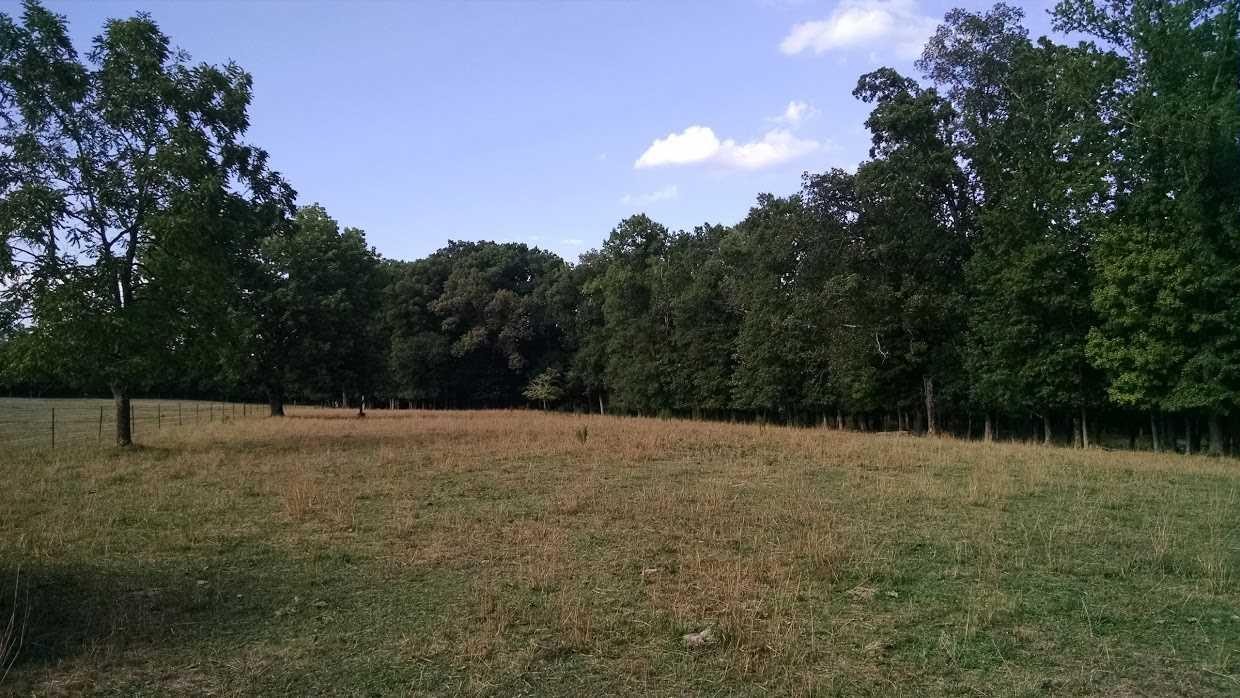30 Bullington Road Southwest Cleveland, TN 37311 - Photo 17 of 22 Gallery Image 17