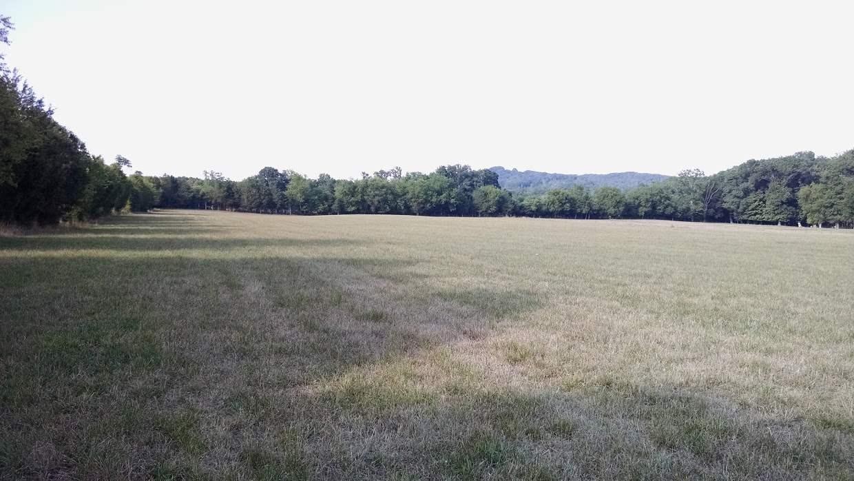 30 Bullington Road Southwest Cleveland, TN 37311 - Photo 4 of 22 Gallery Image 4