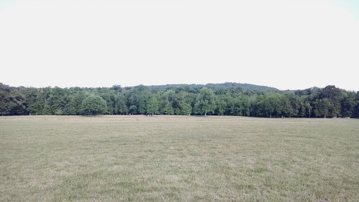 30 Bullington Road Southwest Cleveland, TN 37311 - Photo 5 of 22 Gallery Image 5