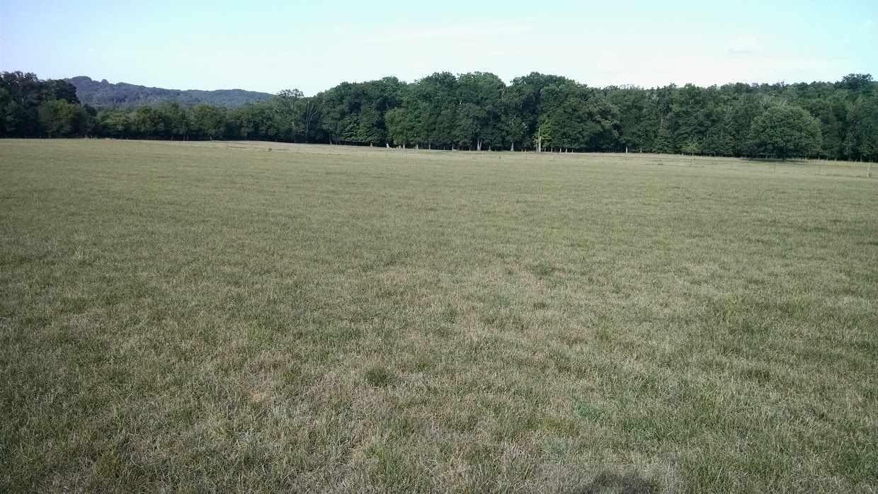 30 Bullington Road Southwest Cleveland, TN 37311 - Photo 6 of 22 Gallery Image 6
