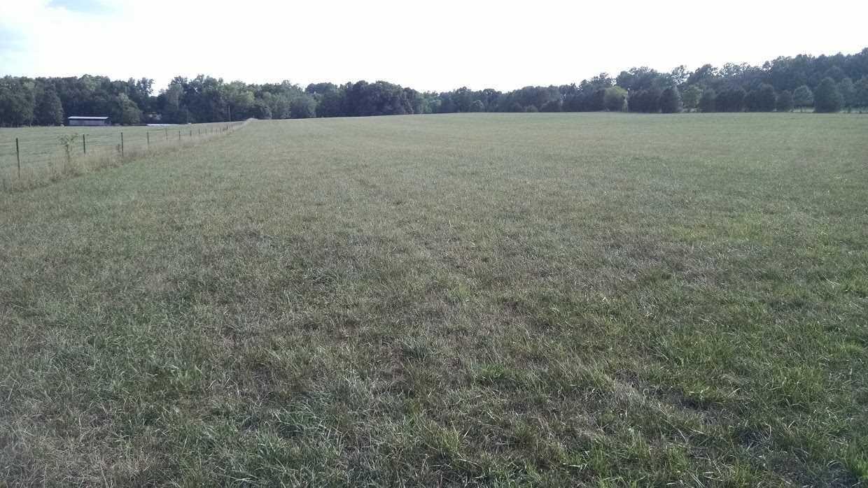 30 Bullington Road Southwest Cleveland, TN 37311 - Photo 10 of 22 Gallery Image 10