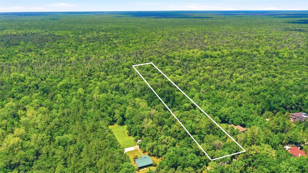 Delk Road Longwood, FL 32779 - Photo 9 of 13 Gallery Image 9