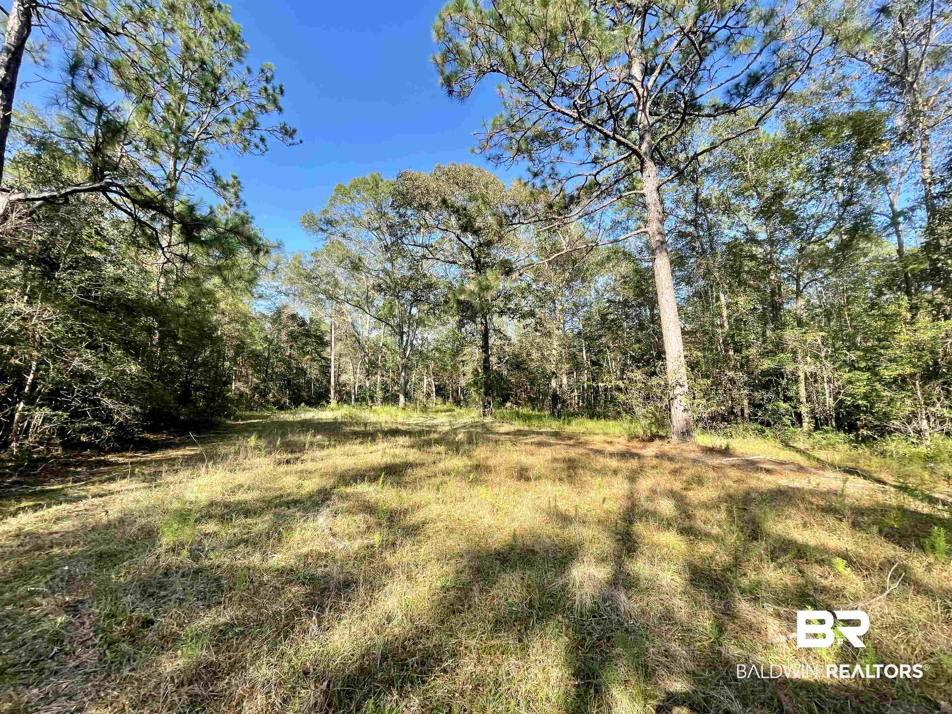 0 Country Road Vinegar Bend, AL 36584 - Photo 16 of 46