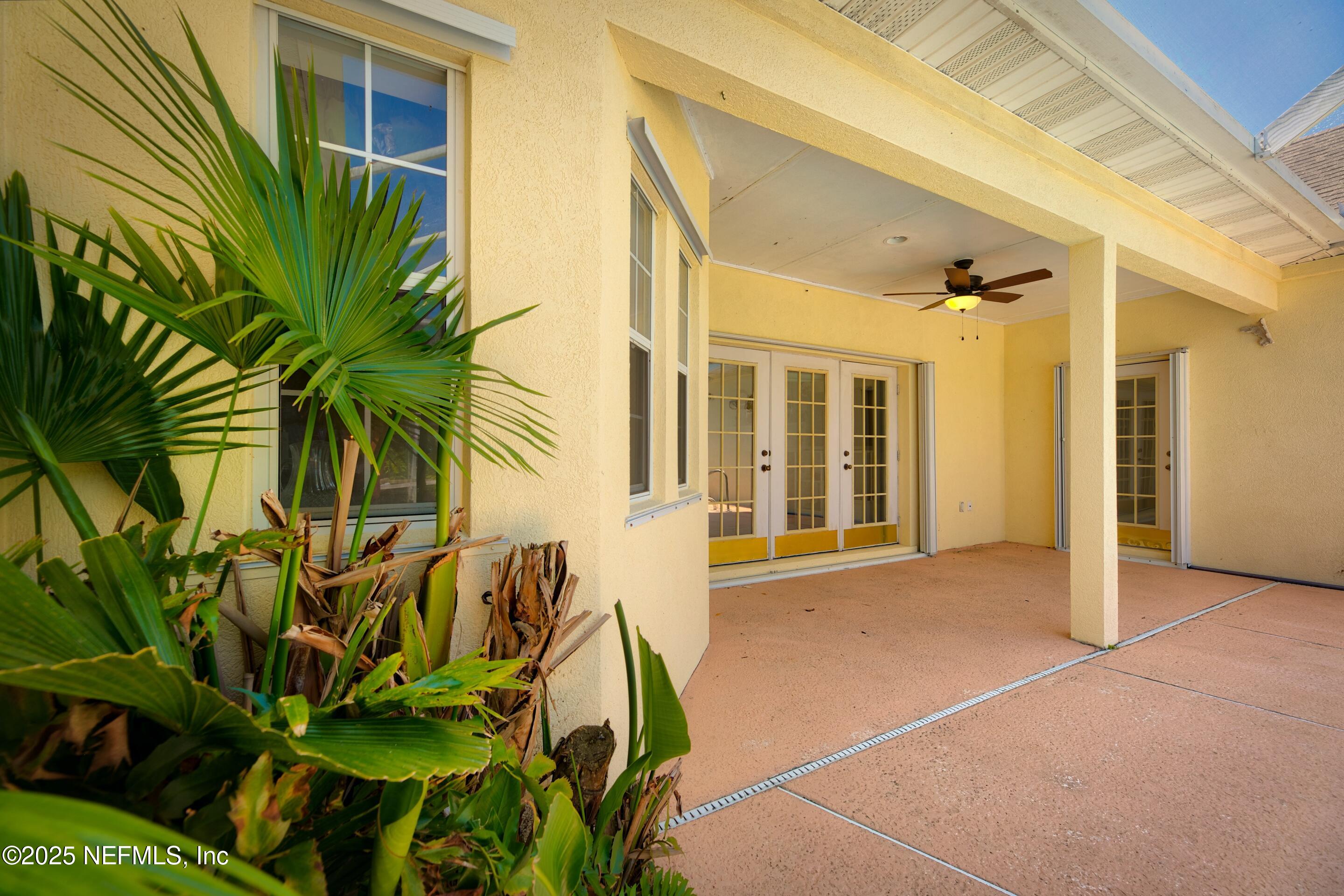 430 Marsh Point Circle St. Augustine, FL 32080 - Photo 45 of 69 a view of a potted plant in front of a building