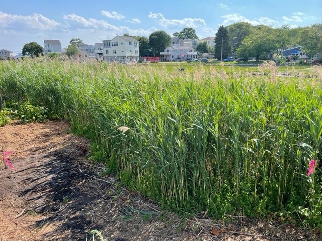 20 Gill Street Hampton, NH 03842 - Photo 7 of 19