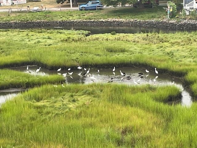 20 Gill Street Hampton, NH 03842 - Photo 8 of 19