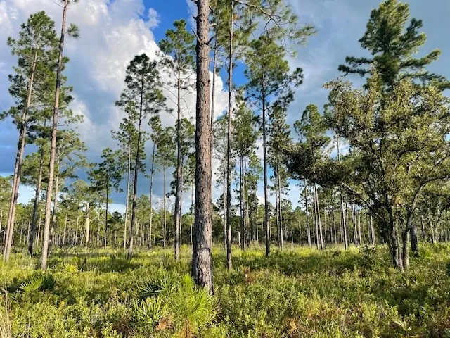 $799,900 | 2114 Mill Creek Road, Patterson, GA 31557