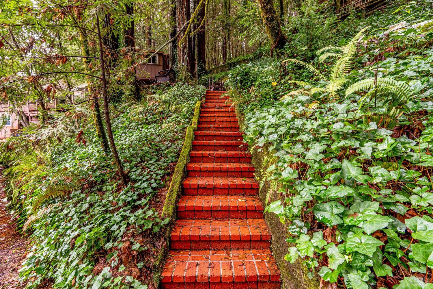 17910 Old Monte Rio Road Guerneville, CA 95446 - Photo 4 of 13 Gallery Image 4