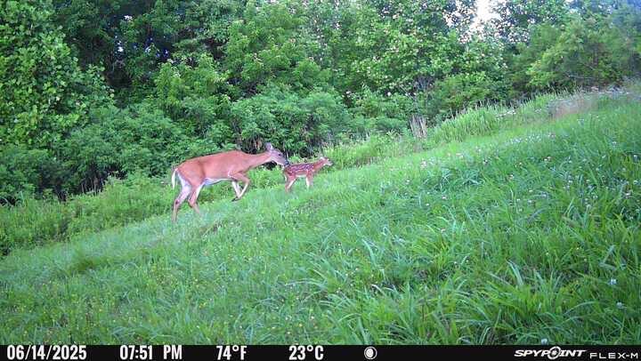 731 Trails End Road Lancaster, KY 40444 - Photo 30 of 47 IMG_5760