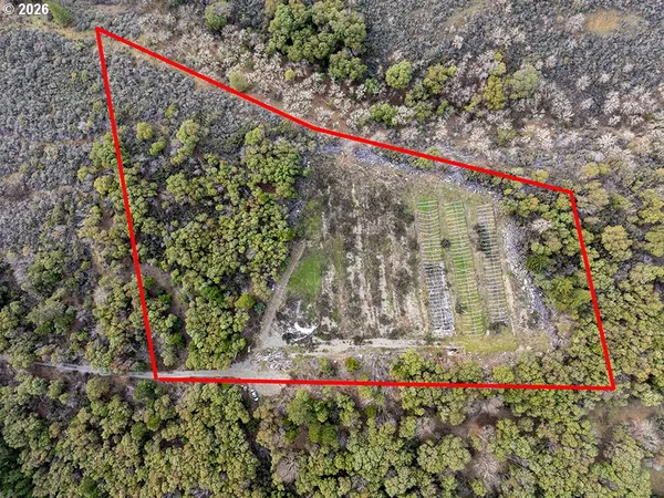 a close up of a plant