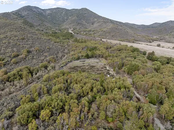 a view of a large mountain with trees in the background