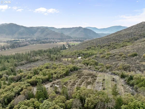 a view of a mountain range with lush green forest