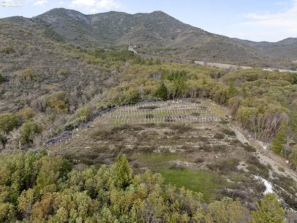 a view of a large mountain with trees in the background