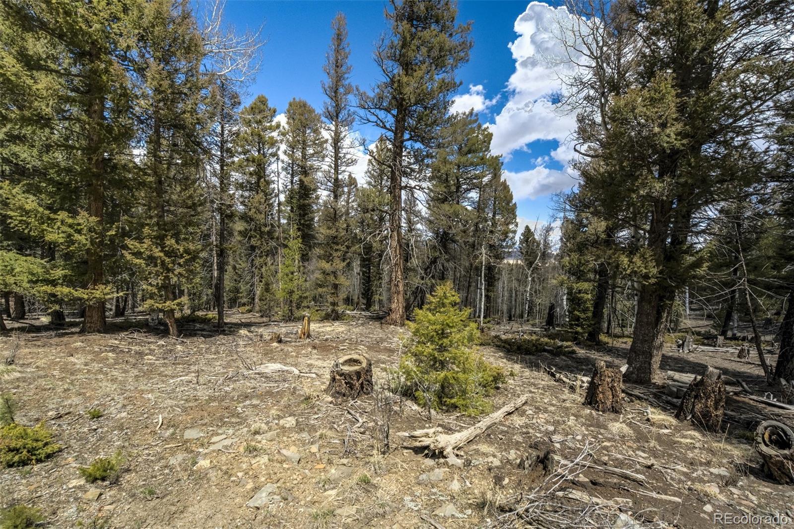 1430 Singletree Road Hartsel, CO 80449 - Photo 17 of 20 Gallery Image 17
