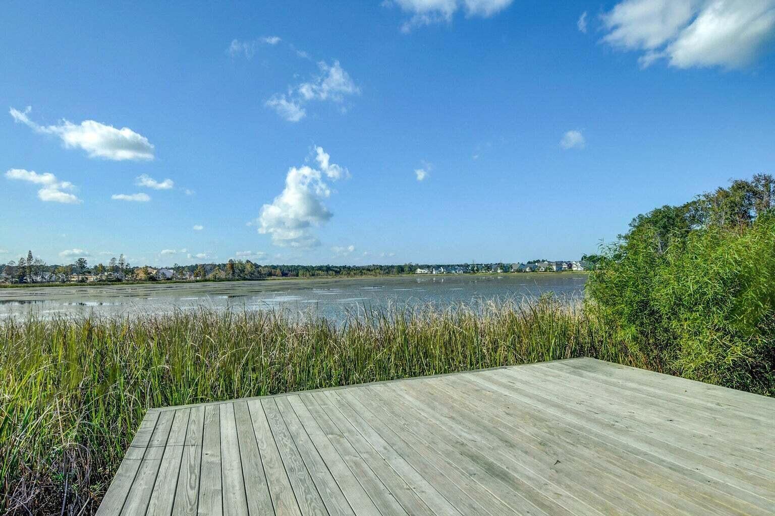 208 Woodbrook Way Moncks Corner, SC 29461 - Photo 55 of 55 20250225185134023980000000-o