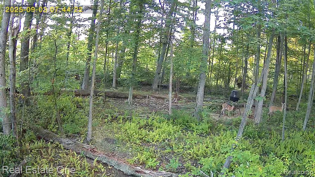 0 Burrows T Drive N Bellevue, MI 49021 - Photo 9 of 10