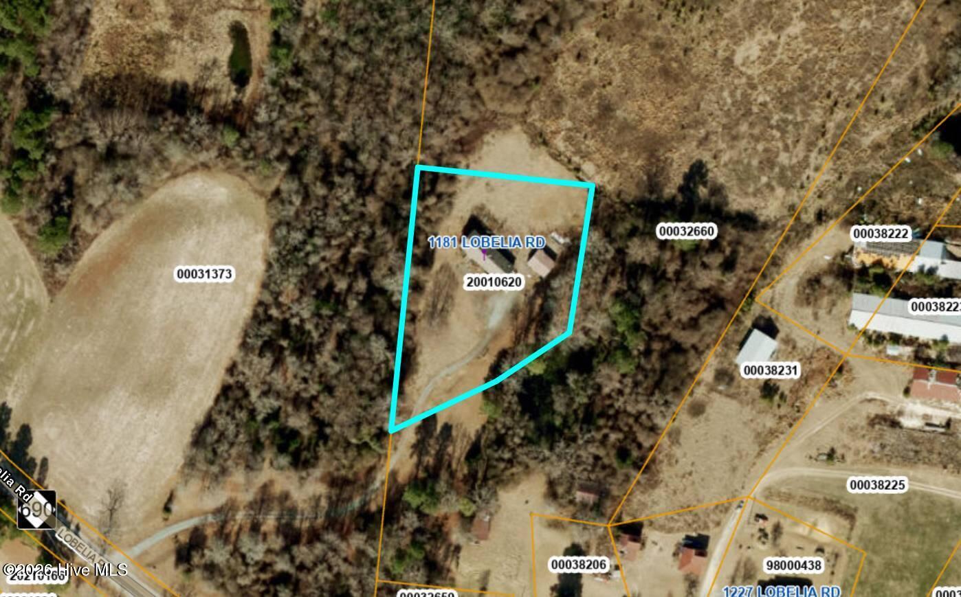 1181 Lobelia Road Cameron, NC 28326 - Photo 10 of 58 GIS Map