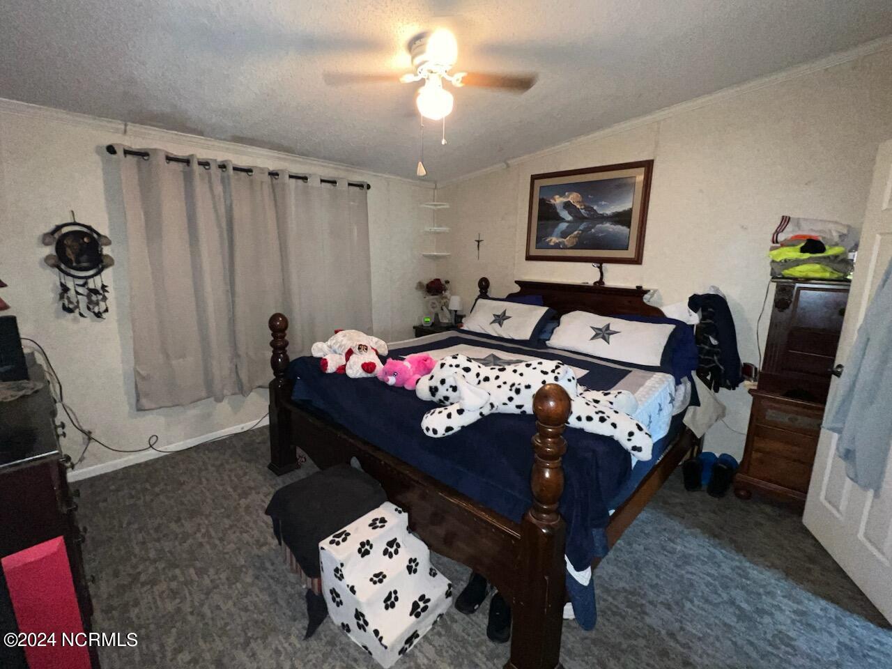 416 Sand Ridge Road Hubert, NC 28539 - Photo 10 of 17 Primary Bedroom