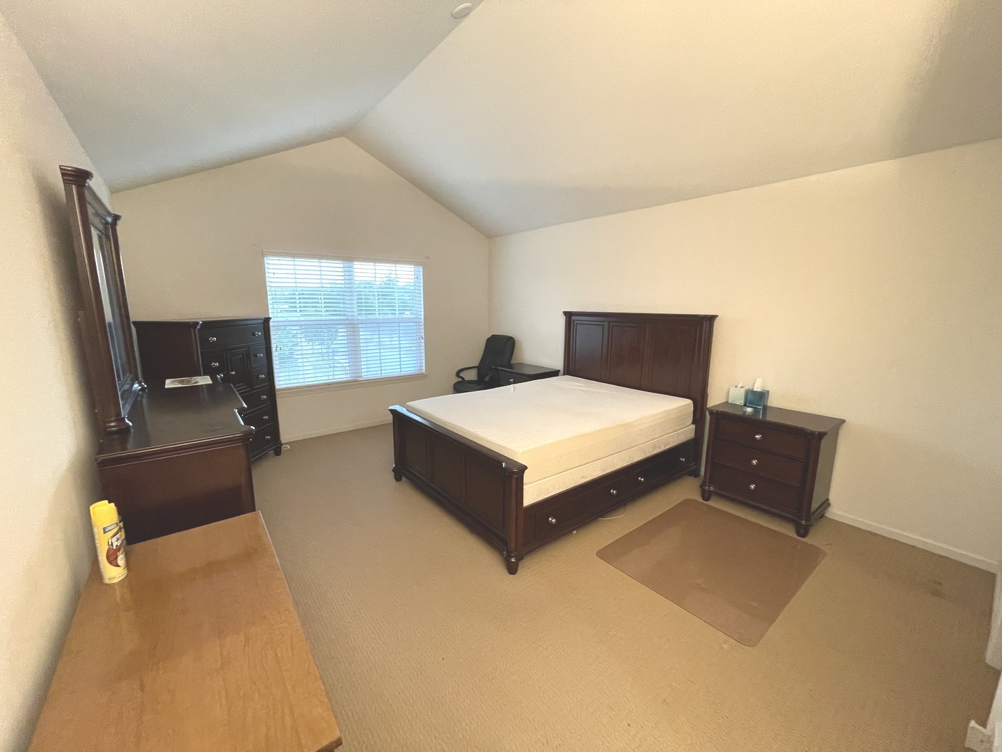 918 Oak Ridge Boulevard Elgin, IL 60120 - Photo 11 of 22