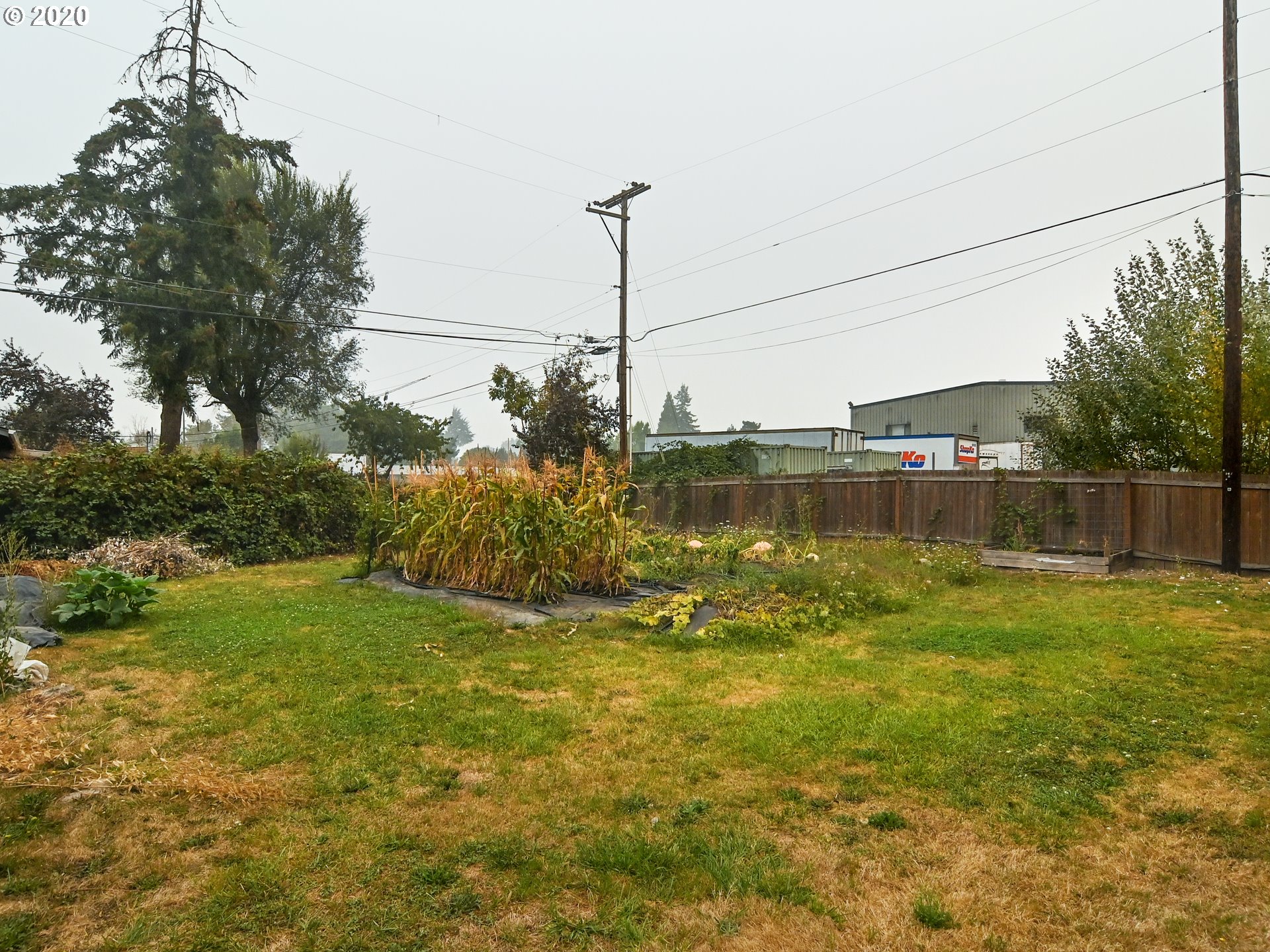 861 26th Street Springfield, OR 97477 - Photo 20 of 29