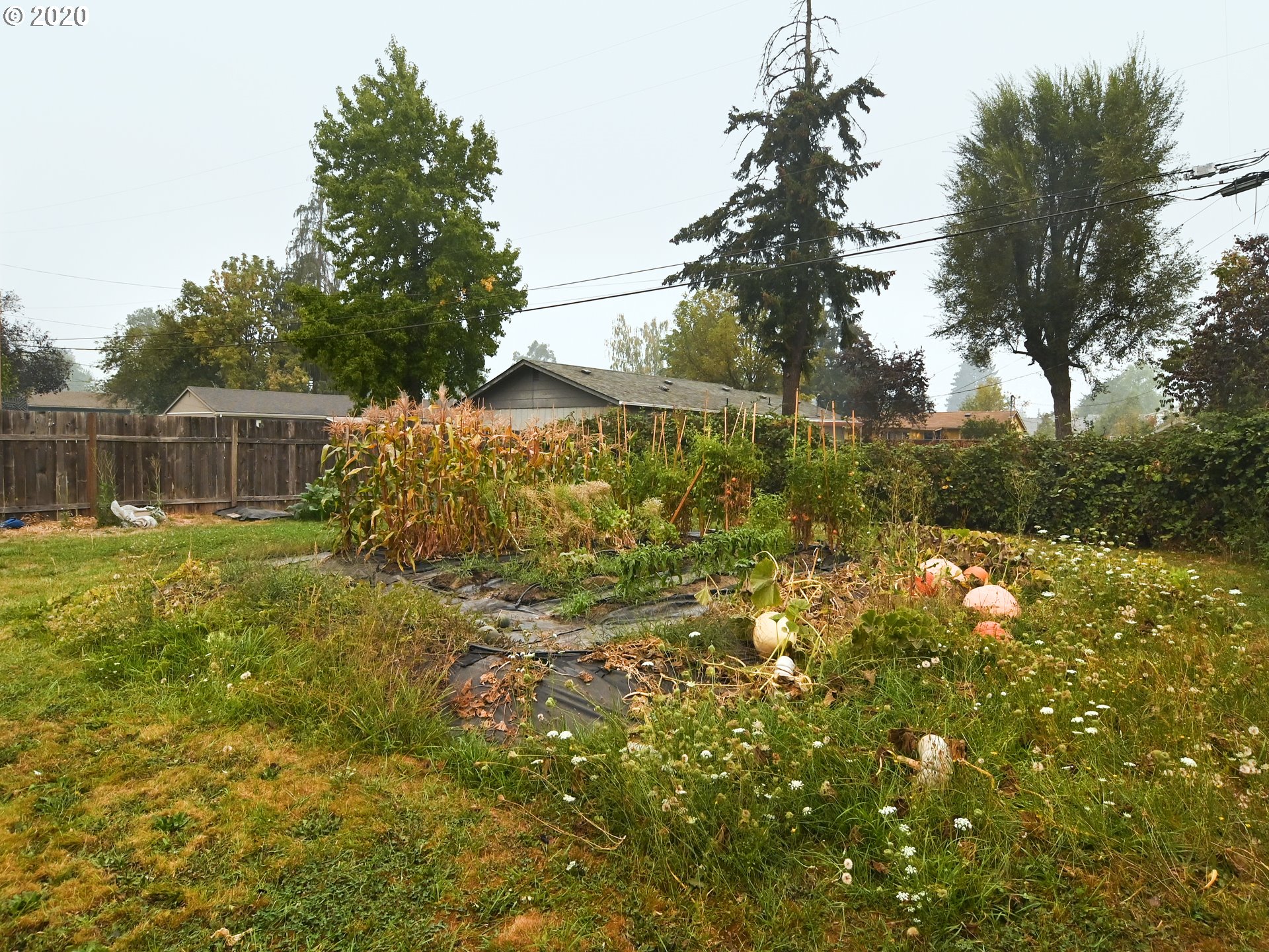 861 26th Street Springfield, OR 97477 - Photo 23 of 29