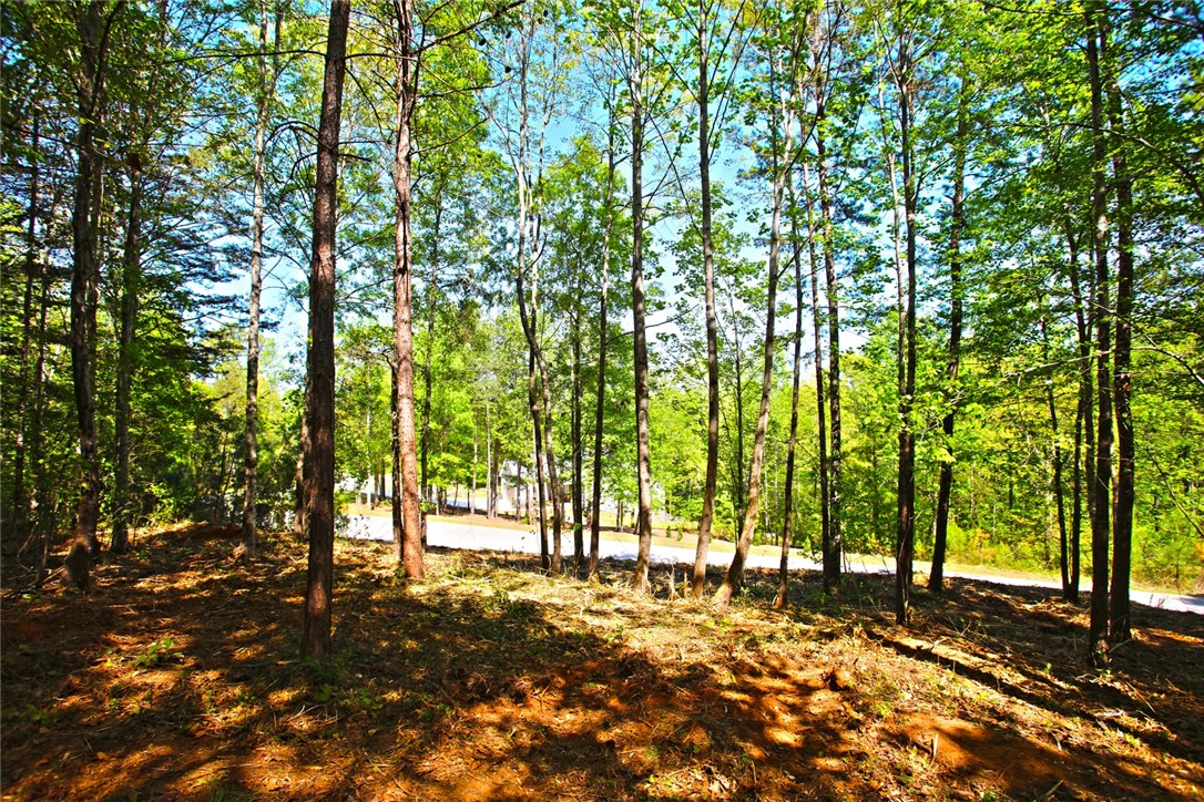 Lot 91 Harbor Point Seneca, SC 29672 - Photo 23 of 24 This tranquil wooded lot offers a peaceful retreat with mature trees and dappled sunlight.