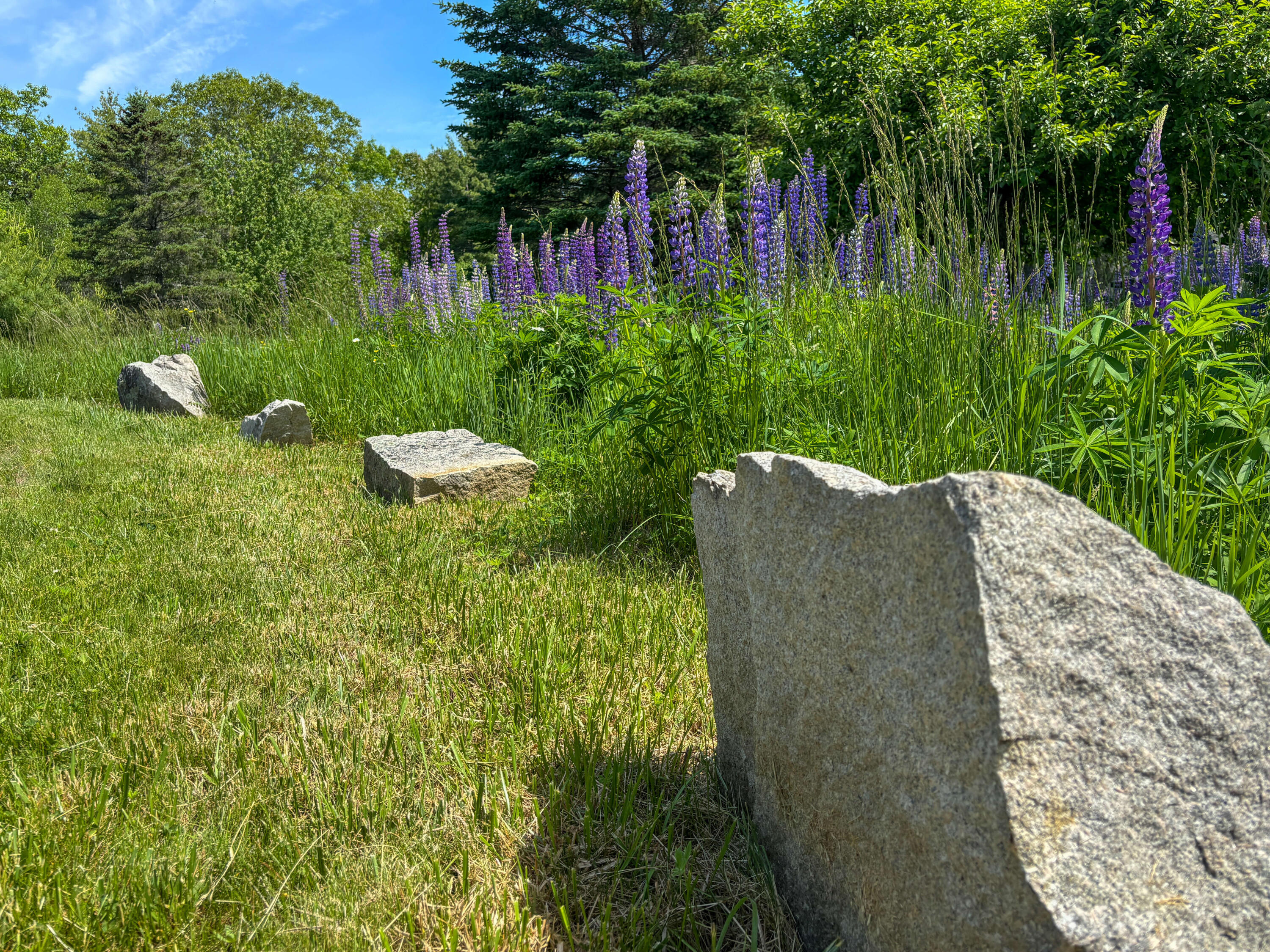 11 Brookside Road Mount Desert, ME 04660 - Photo 108 of 126 Grounds (5)