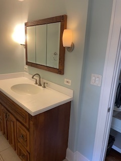 3 East Slade Street Palatine, IL 60067 - Photo 40 of 45 a bathroom with a sink vanity and a mirror