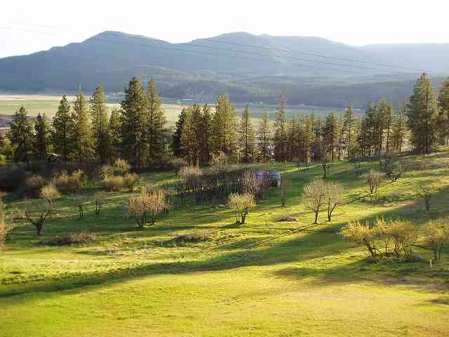 159 North May Road Colville, WA 99114 - Photo 9 of 9 Gallery Image 9