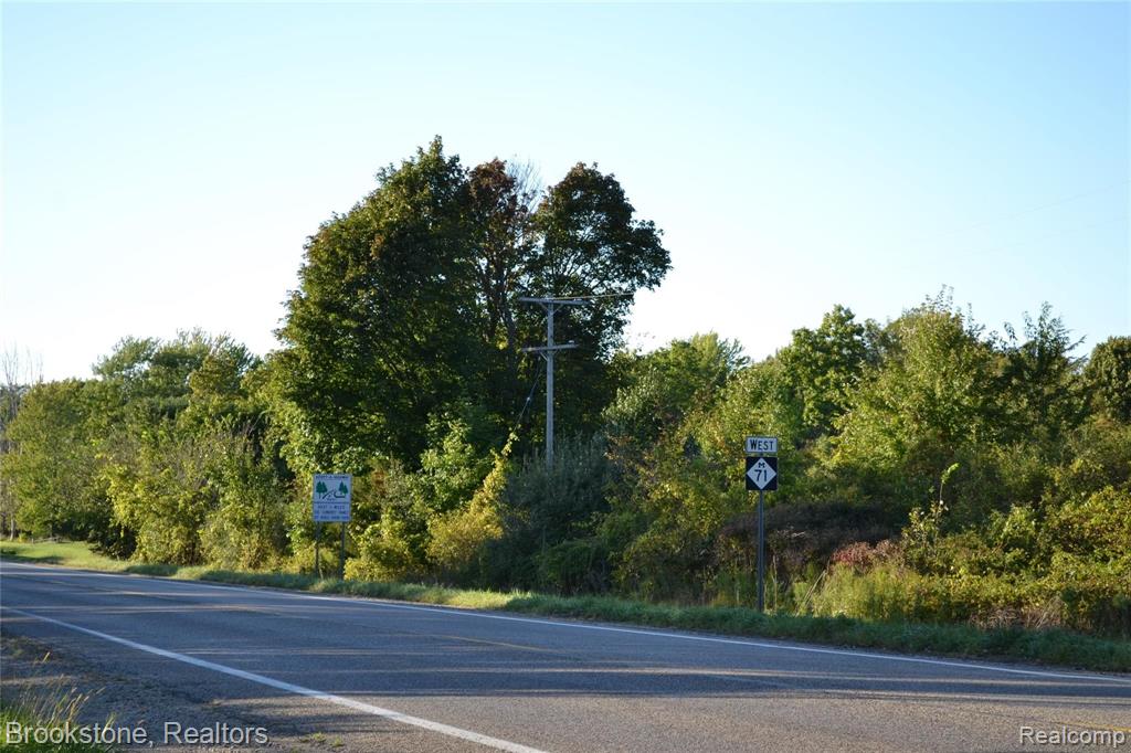 0 M-71 & Reed Road Durand, MI 48429 - Photo 4 of 4
