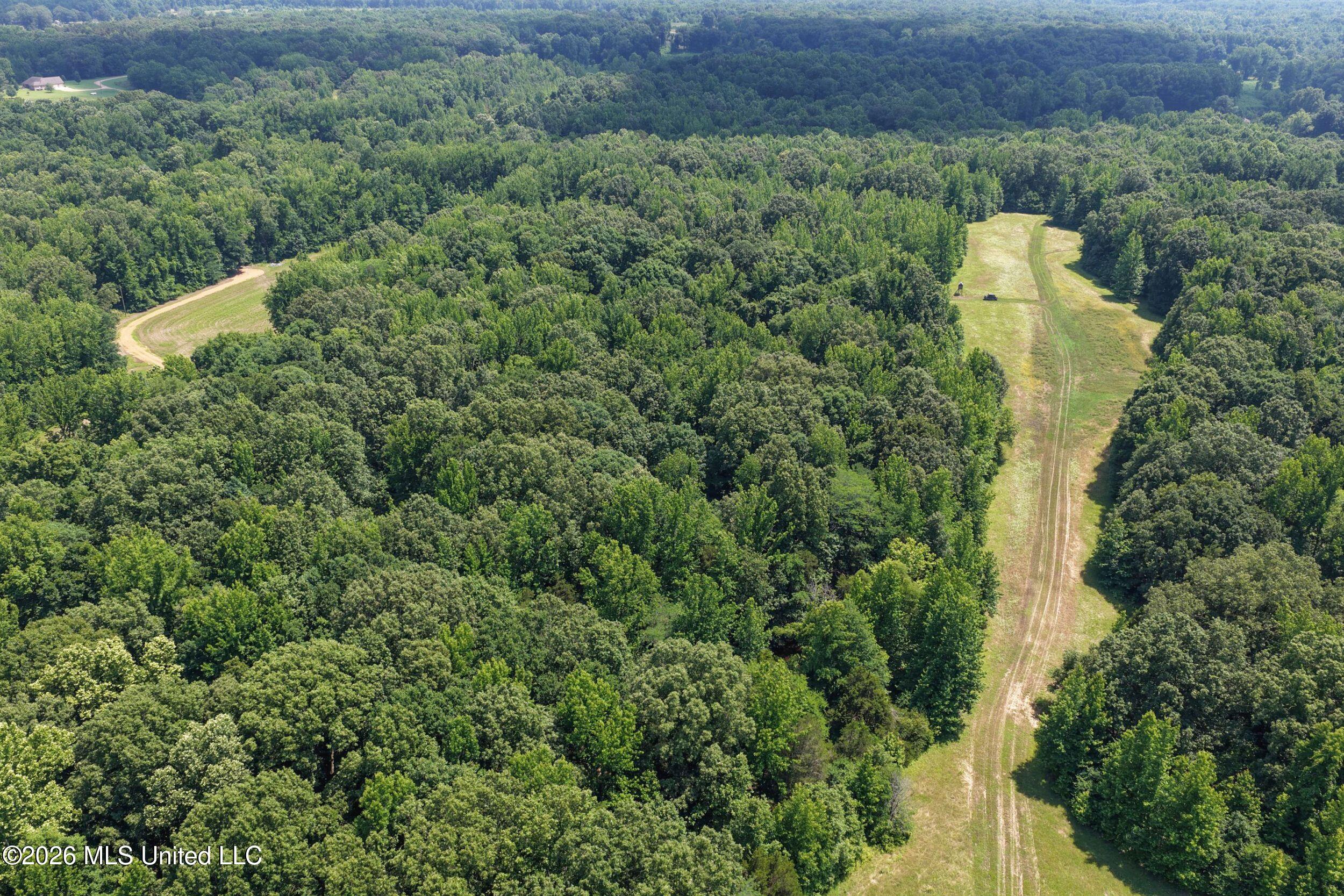 884 Avant Road Crenshaw, MS 38621 - Photo 49 of 154 4dbyicr51