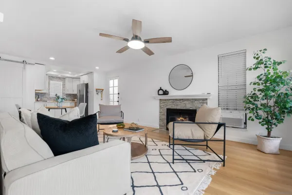 a living room with furniture a fireplace and a potted plant