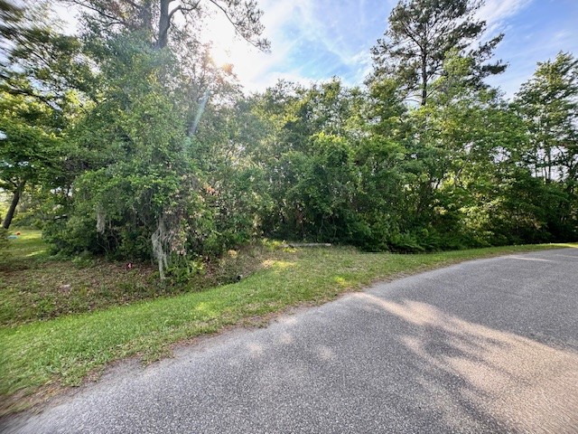 1293 Claxton Road Yulee, FL 32097 - Photo 1 of 20