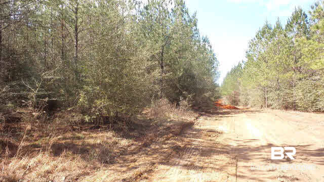 43 10 Mile Road Pensacola, FL 32534 - Photo 23 of 27