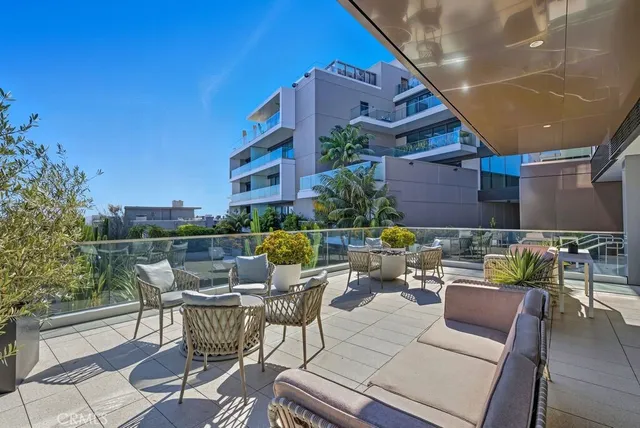 a view of a park with plants and palm trees