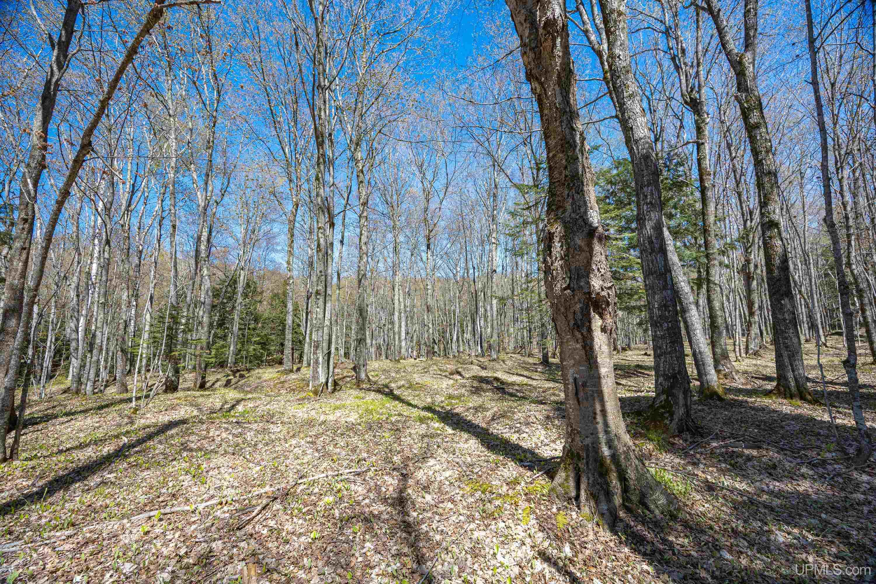 49190 Upper Freda Shores Road Atlantic Mine, MI 49905 - Photo 53 of 68