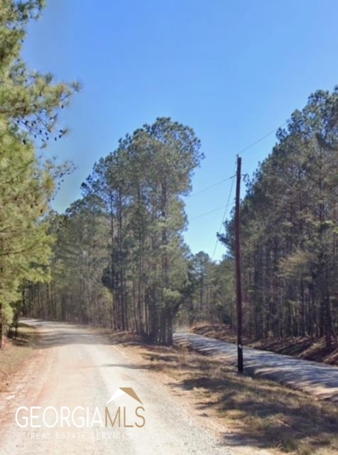 0 Old Maxey's Road Union Point, GA 30669 - Photo 1 of 1 a view of a backyard of the house