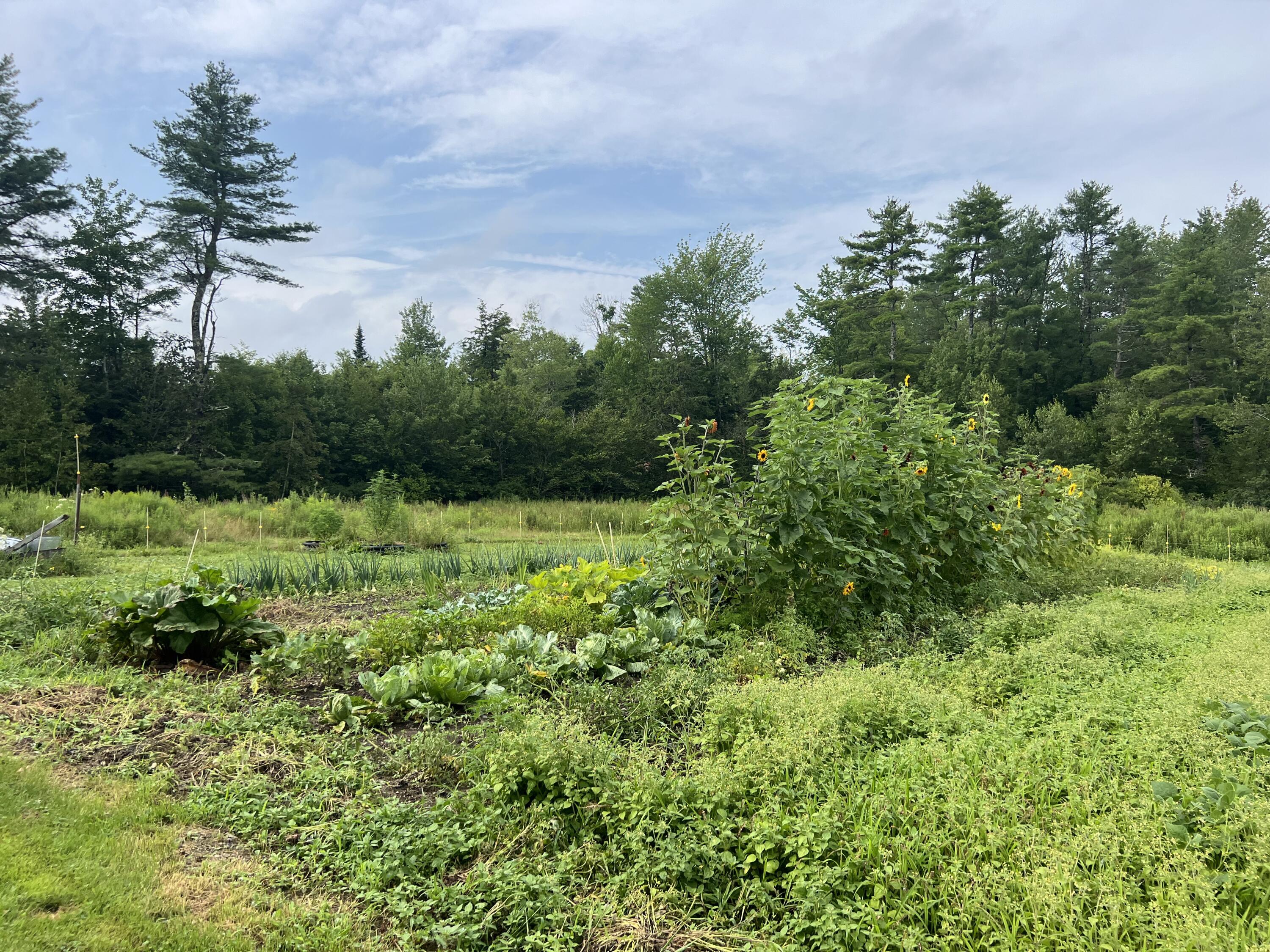 1465 Waterville Road Belfast, ME 04915 - Photo 22 of 31 Garden