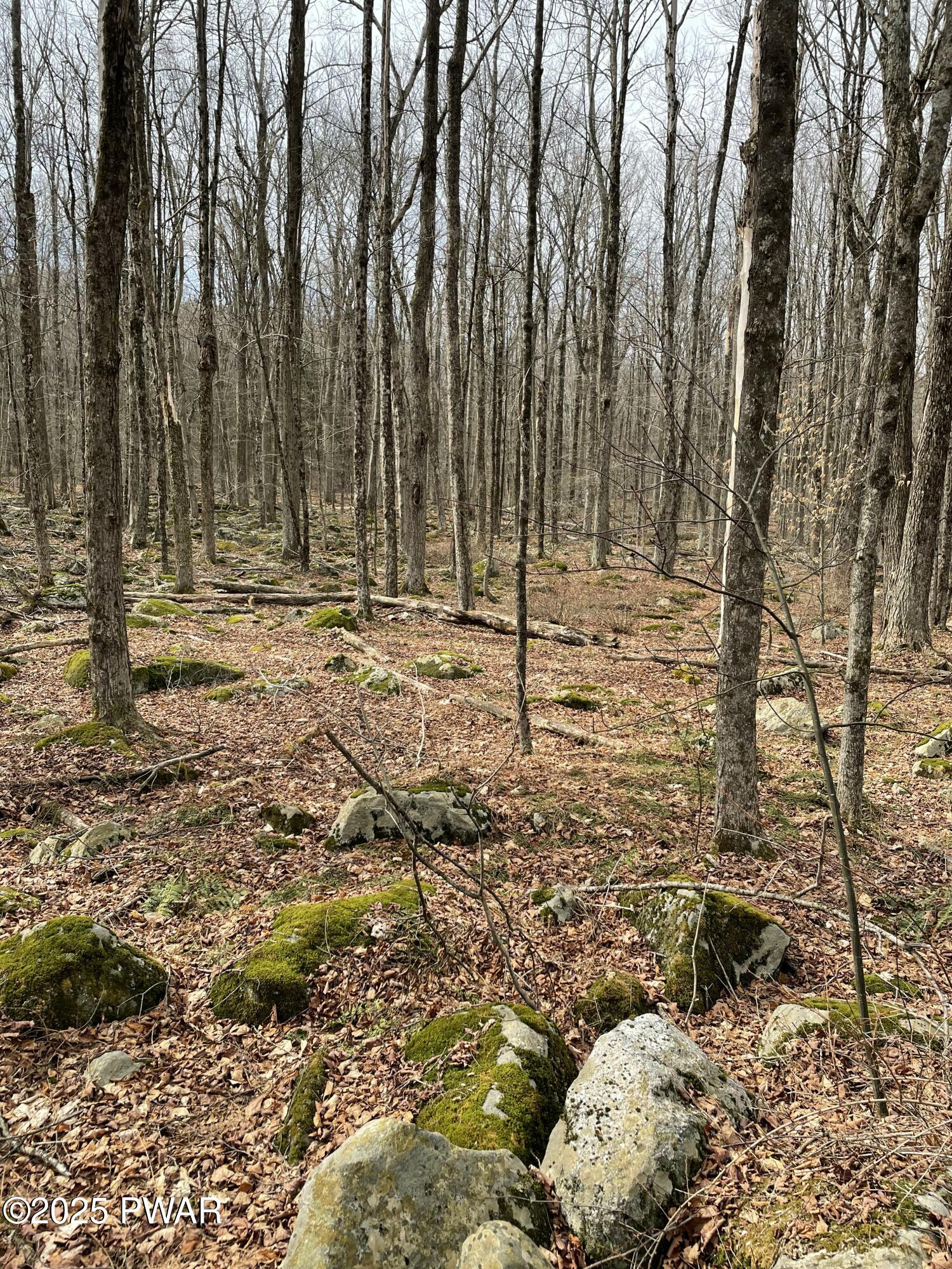 Lot 270 Radcliff Lane Bushkill, PA 18324 - Photo 4 of 10
