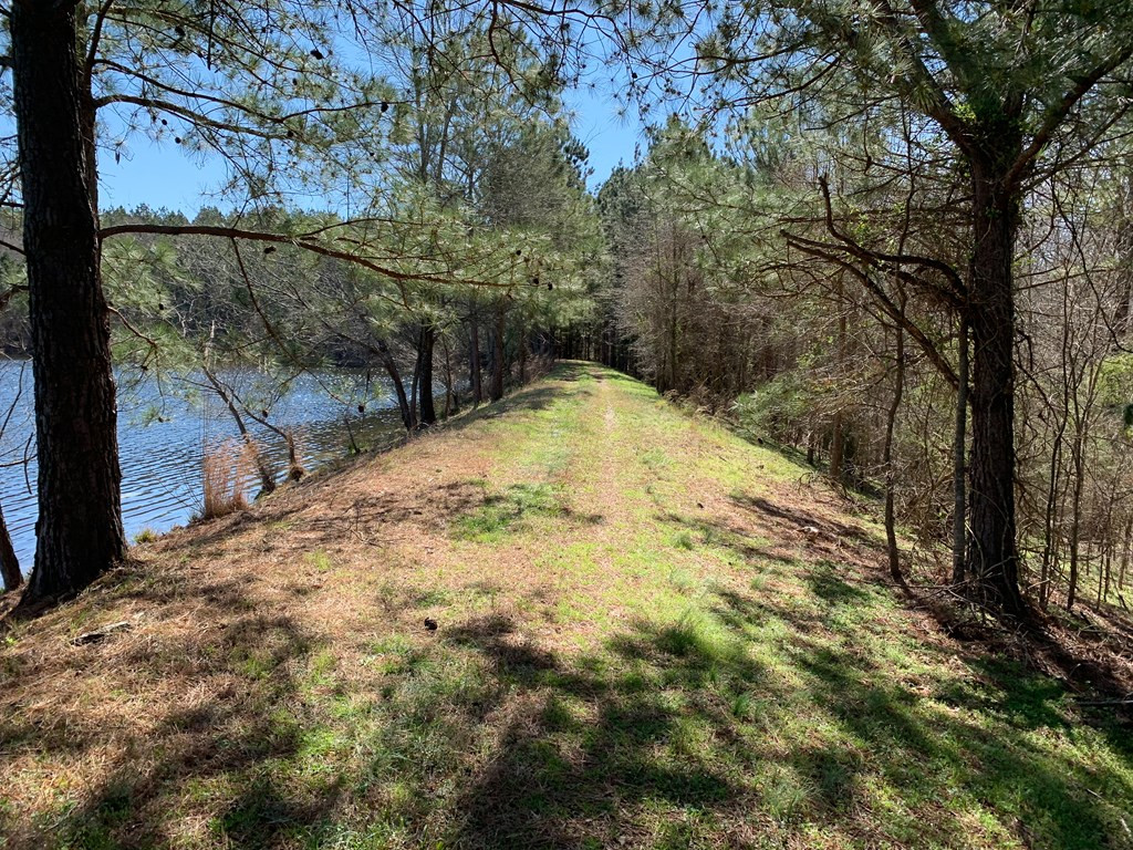1415 Long Cane Road Edgefield, SC 29824 - Photo 11 of 61