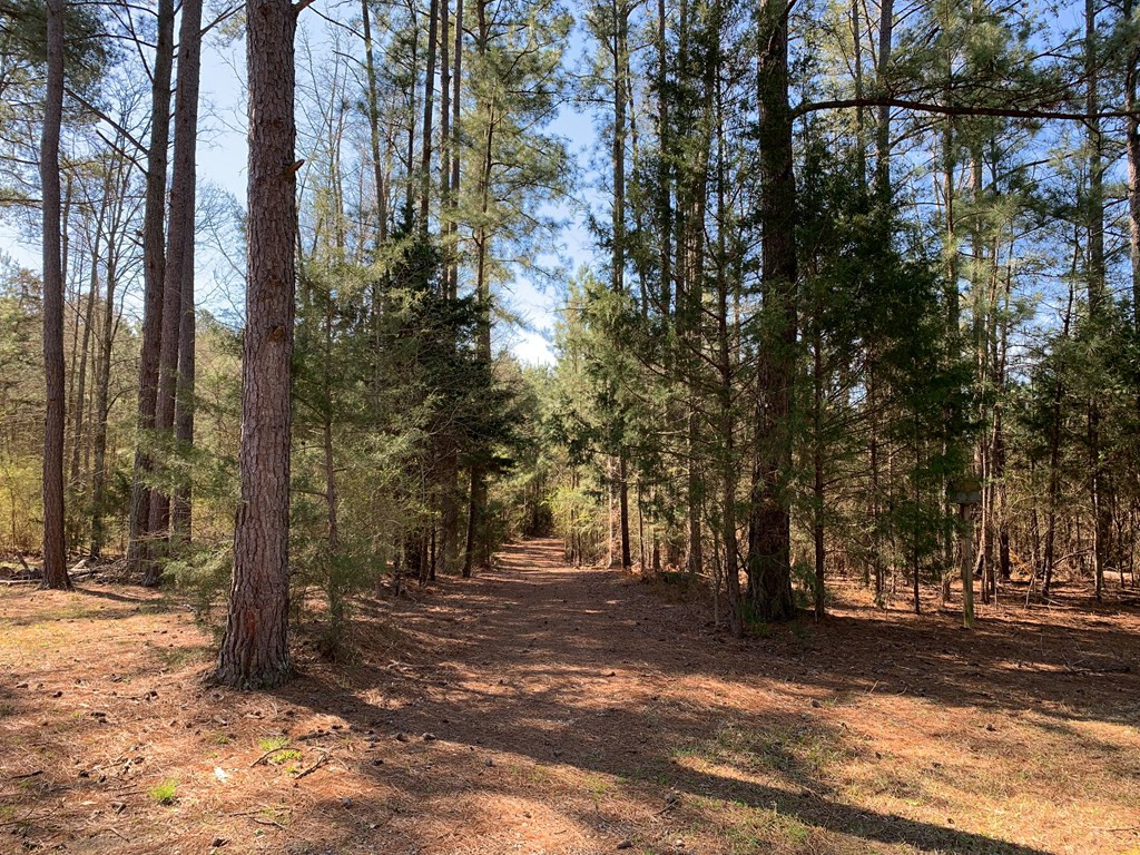 1415 Long Cane Road Edgefield, SC 29824 - Photo 20 of 61