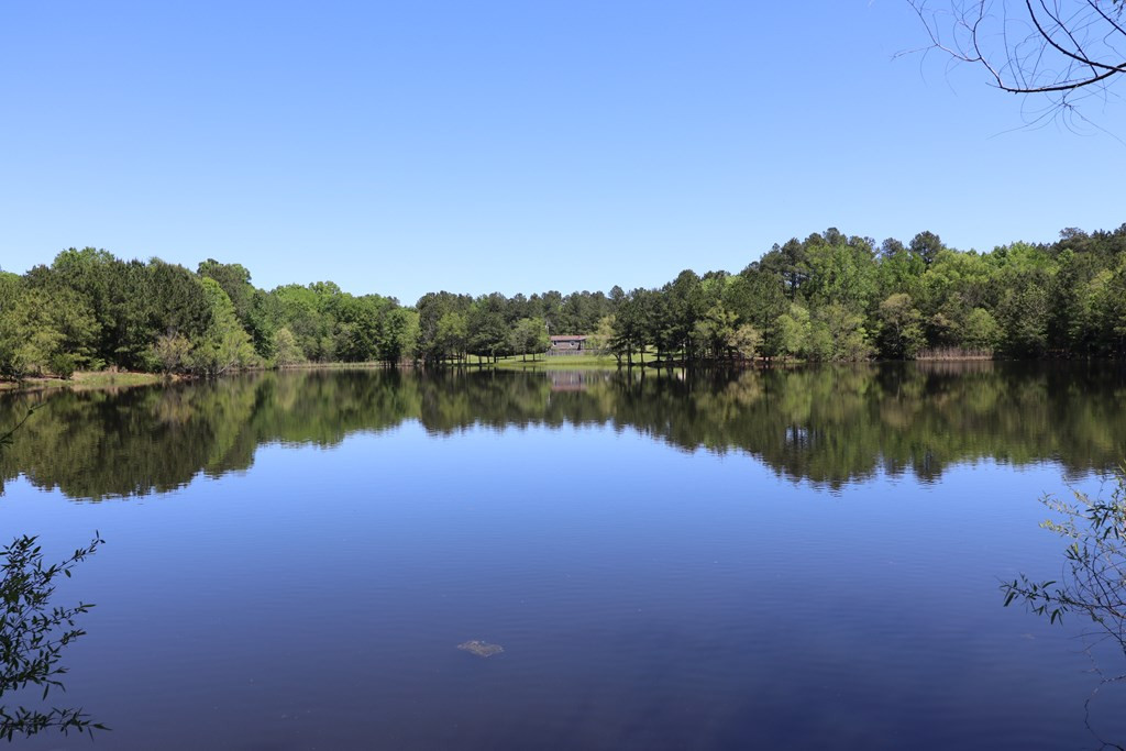 1415 Long Cane Road Edgefield, SC 29824 - Photo 27 of 61