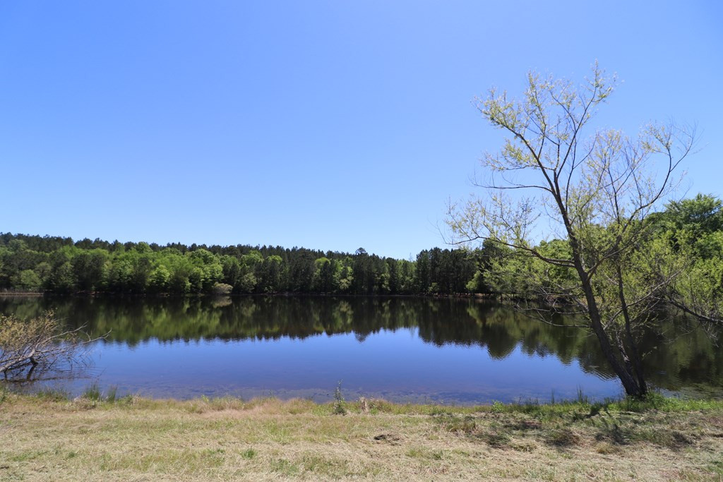 1415 Long Cane Road Edgefield, SC 29824 - Photo 29 of 61