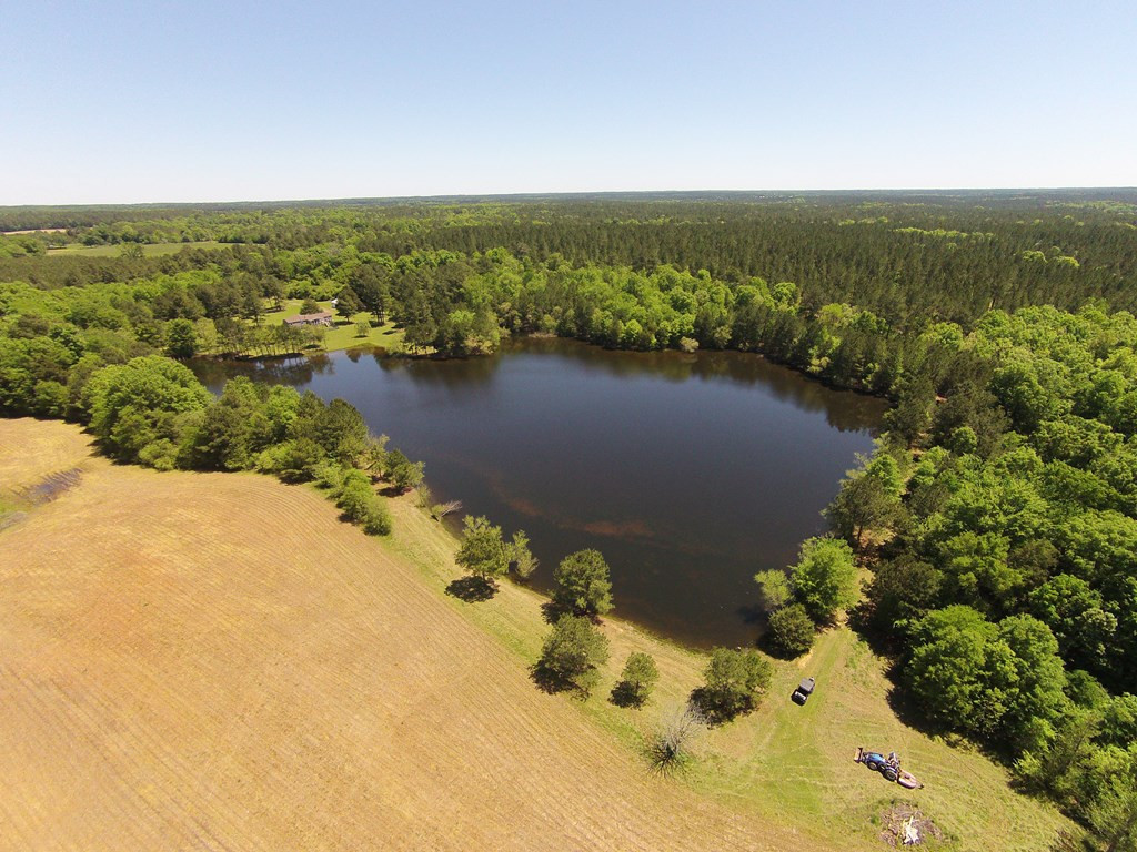 1415 Long Cane Road Edgefield, SC 29824 - Photo 6 of 61