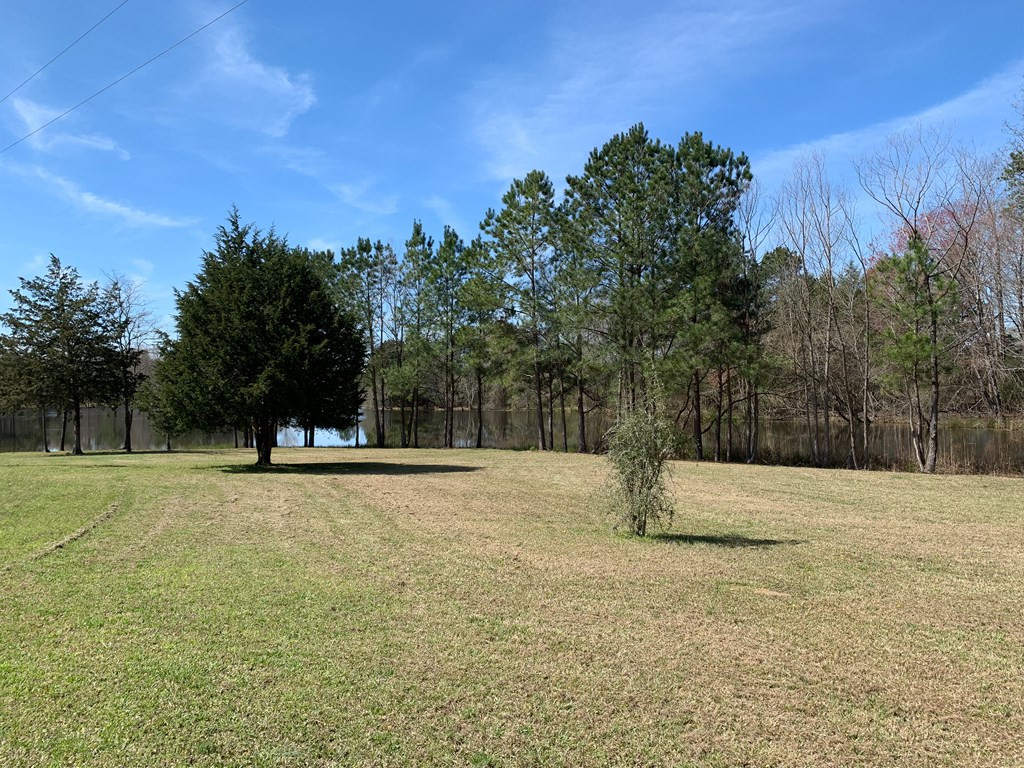 1415 Long Cane Road Edgefield, SC 29824 - Photo 8 of 61
