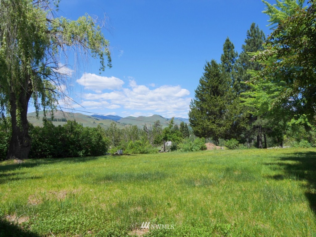 158 East Chewuch Road Winthrop, WA 98862 - Photo 3 of 25 Gallery Image 3