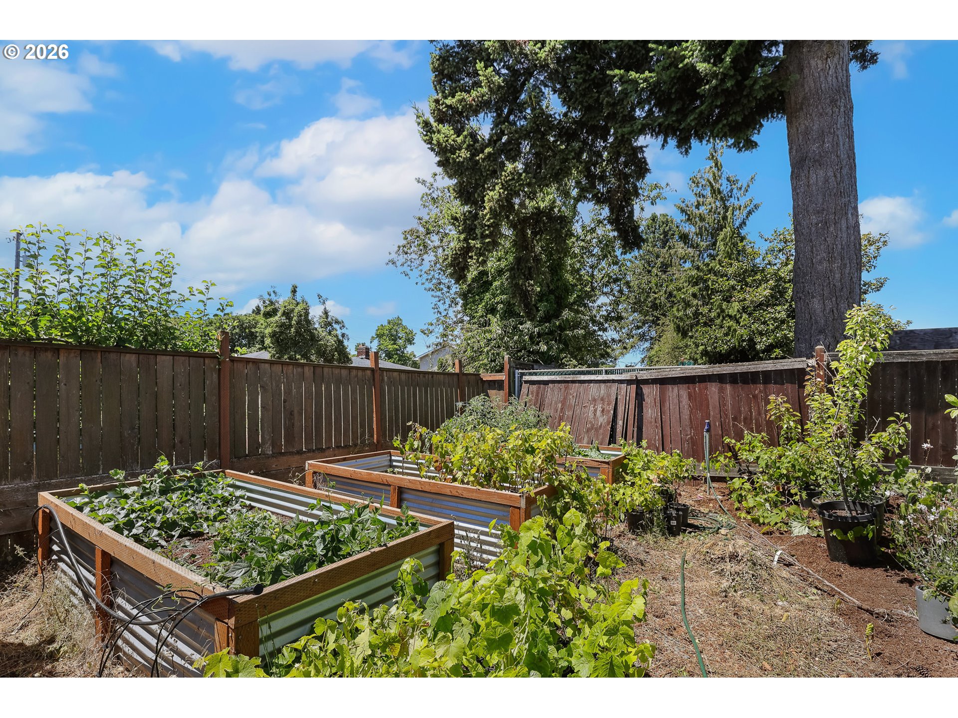 1720 Grove Street Eugene, OR 97404 - Photo 28 of 29